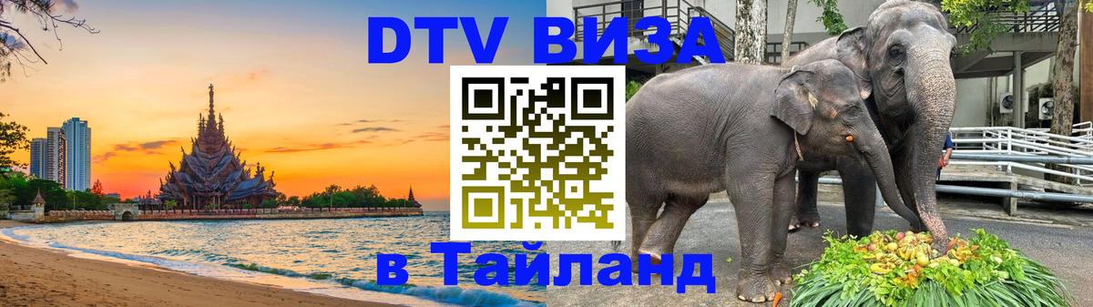 Сколько стоит DTV виза — актуальные цены, оформление даже без документов - 